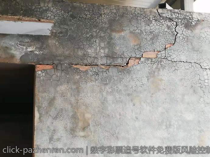 数字彩票追号软件免费版风险控制策略